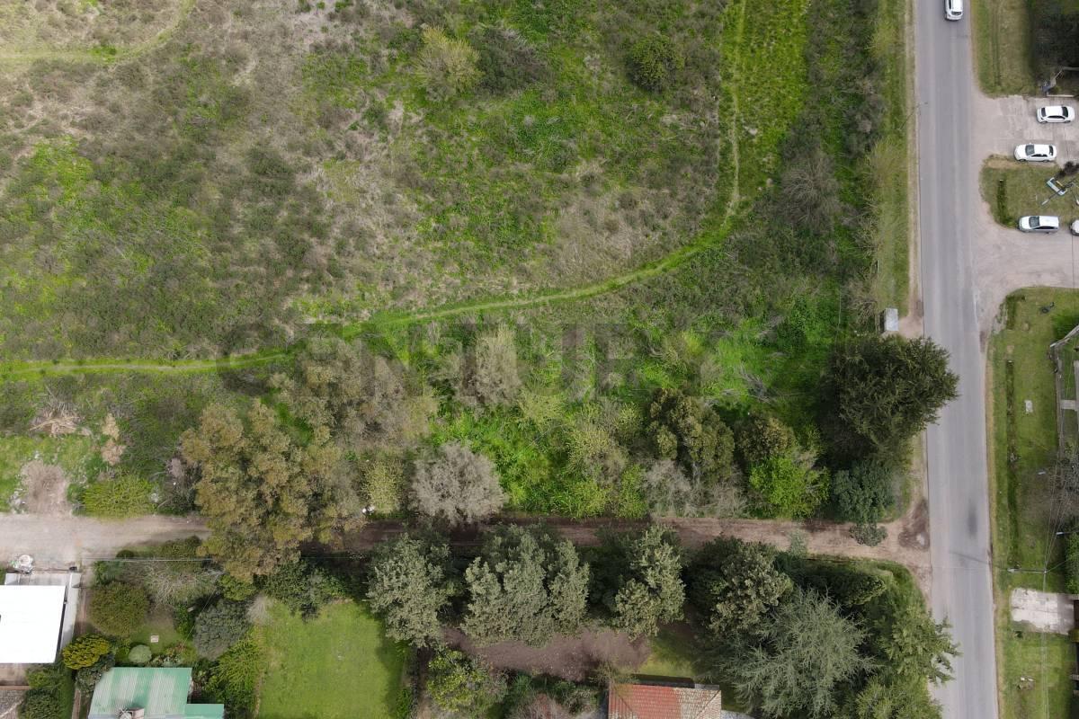 Foto de LOTE EN VENTA EN VILLA ELISA, imagen 5