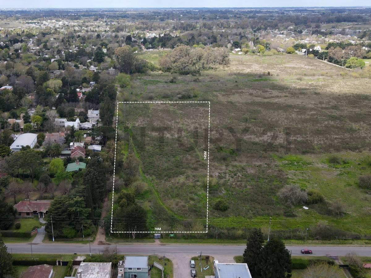 Foto de LOTE EN VENTA EN VILLA ELISA, imagen 1