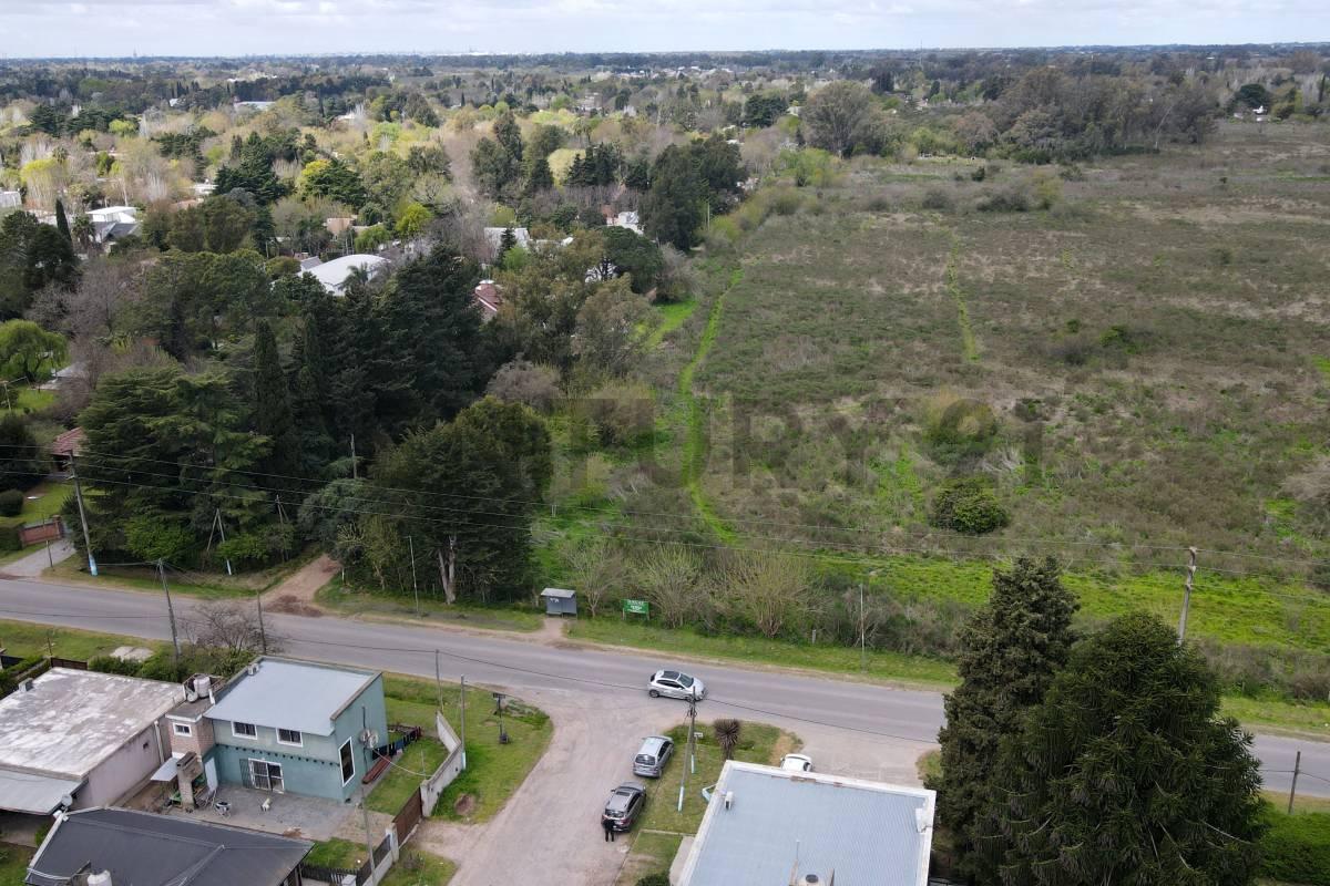 Foto de LOTE EN VENTA EN VILLA ELISA, imagen 2