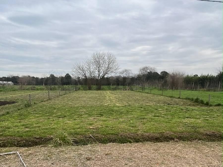 Foto de LOTE TERRENO EN VENTA EN CITY BELL, imagen 1