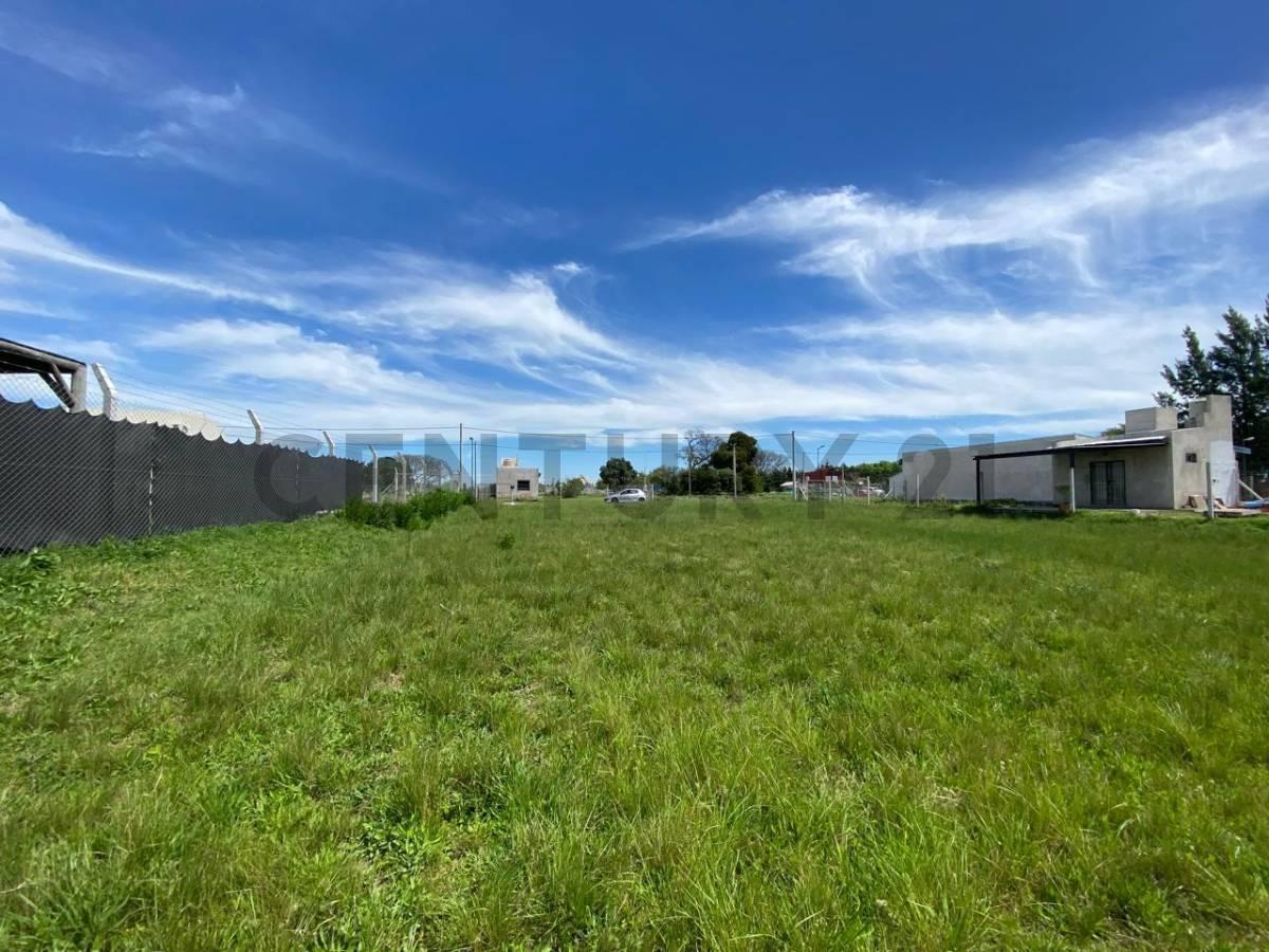 Foto de LOTE EN VENTA EN LA PLATA SICARDI CON ESCRITURA, imagen 5
