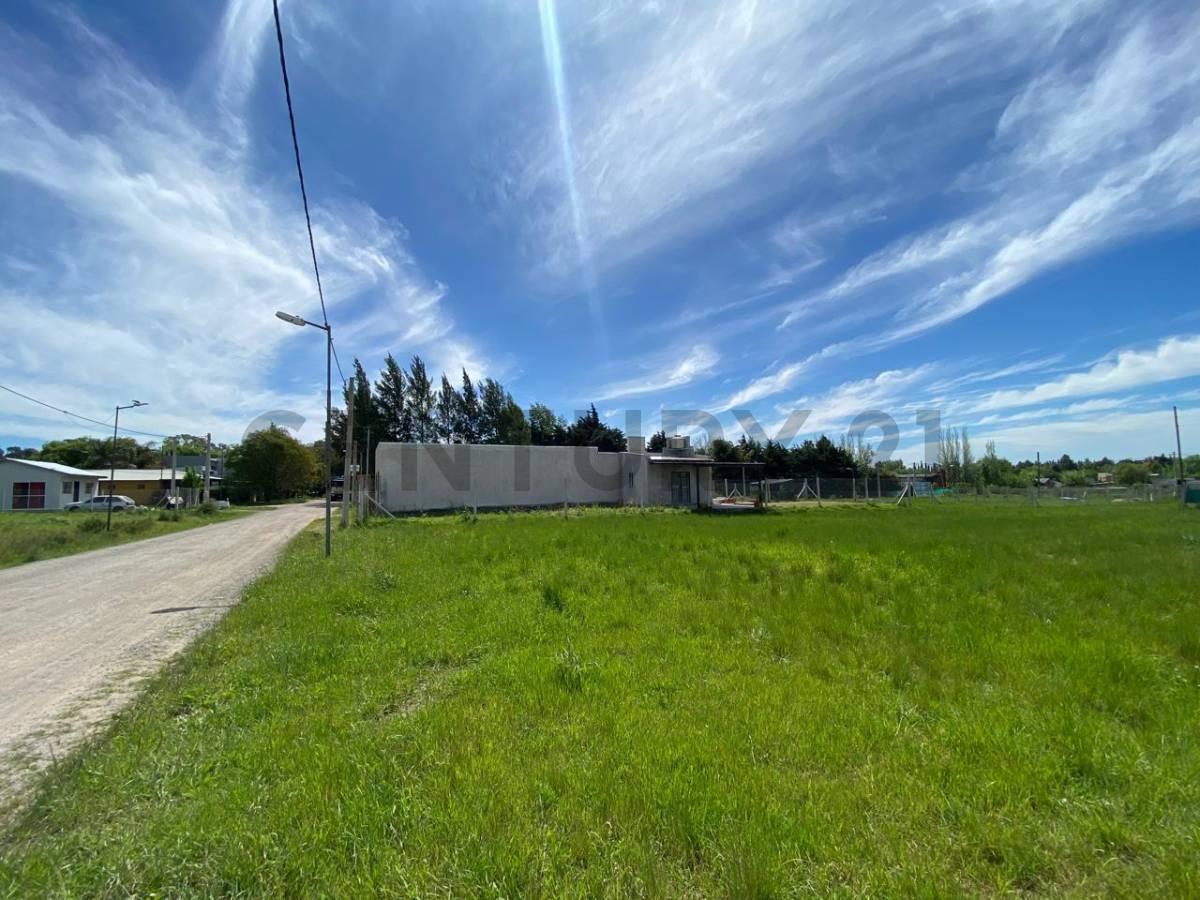 Foto de LOTE EN VENTA EN LA PLATA SICARDI CON ESCRITURA, imagen 3