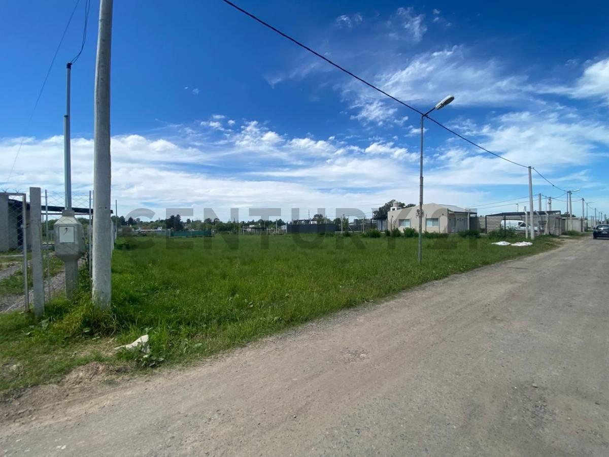 Foto de LOTE EN VENTA EN LA PLATA SICARDI CON ESCRITURA, imagen 4
