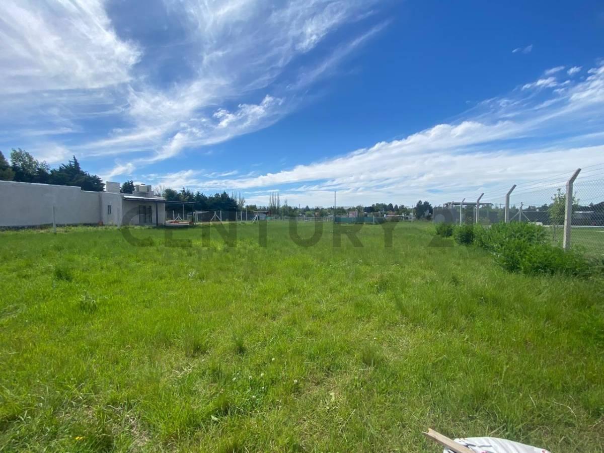 Foto de LOTE EN VENTA EN LA PLATA SICARDI CON ESCRITURA, imagen 1