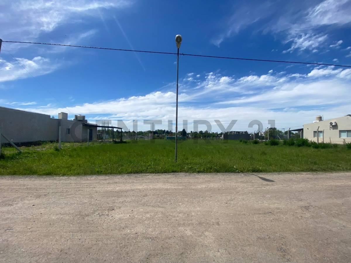 Foto de LOTE 17 EN VENTA EN LA PLATA SICARDI CON ESCRITURA, imagen 5