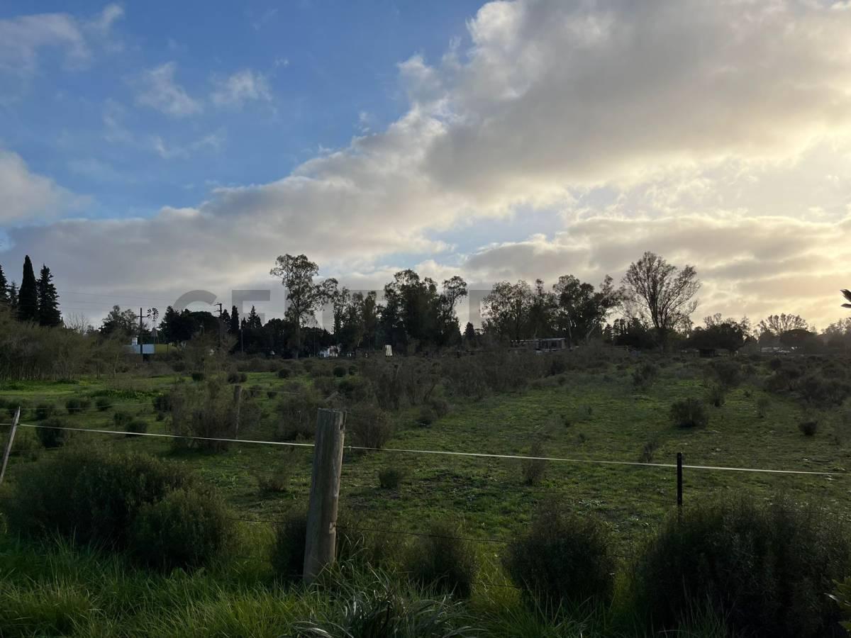 Foto de LOTE TERRENO EN VENTA EN VILLA ELISA, imagen 2