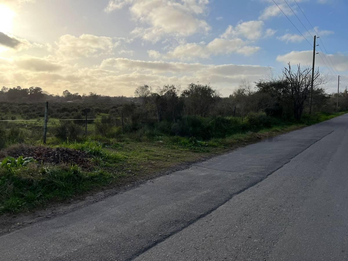 Foto de LOTE TERRENO EN VENTA EN VILLA ELISA, imagen 1