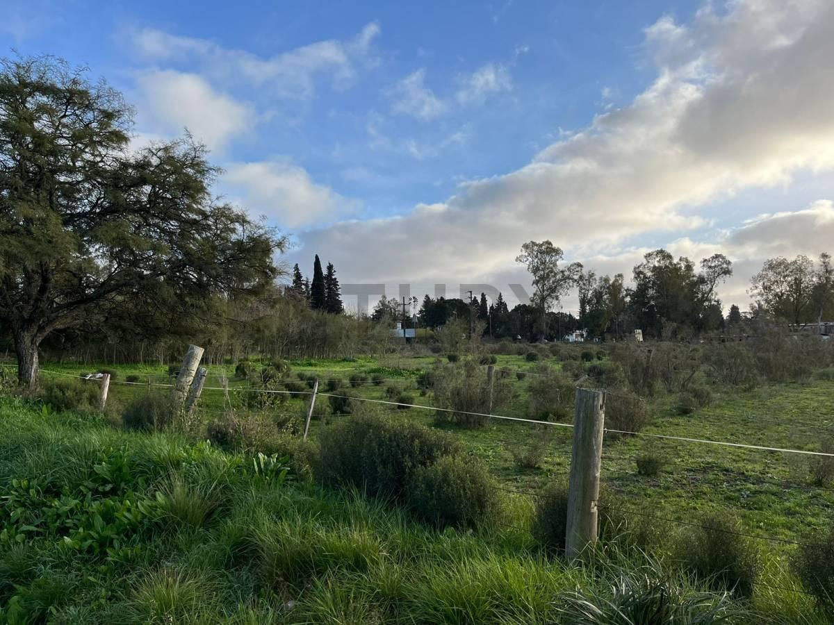 Foto de LOTE TERRENO EN VENTA EN VILLA ELISA, imagen 3
