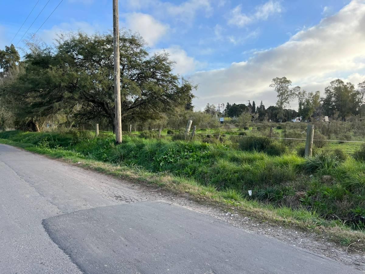 Foto de LOTE TERRENO EN VENTA EN VILLA ELISA, imagen 4