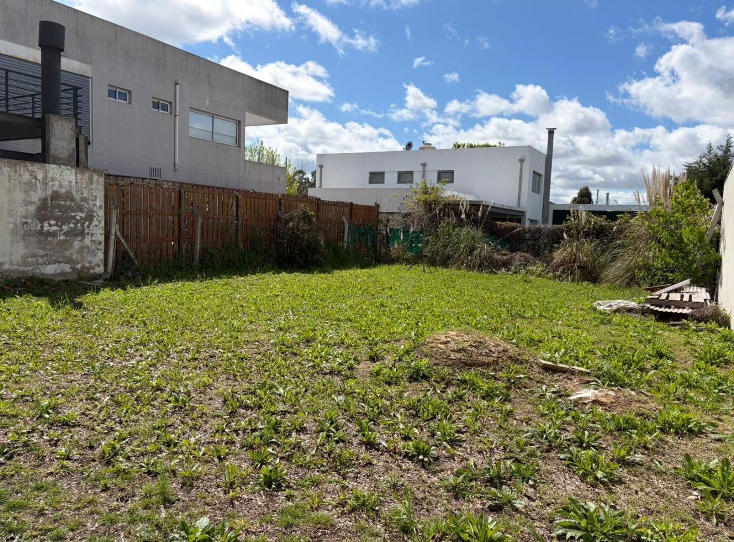 Foto de Terreno en venta en Joaquin Gorina, imagen 3