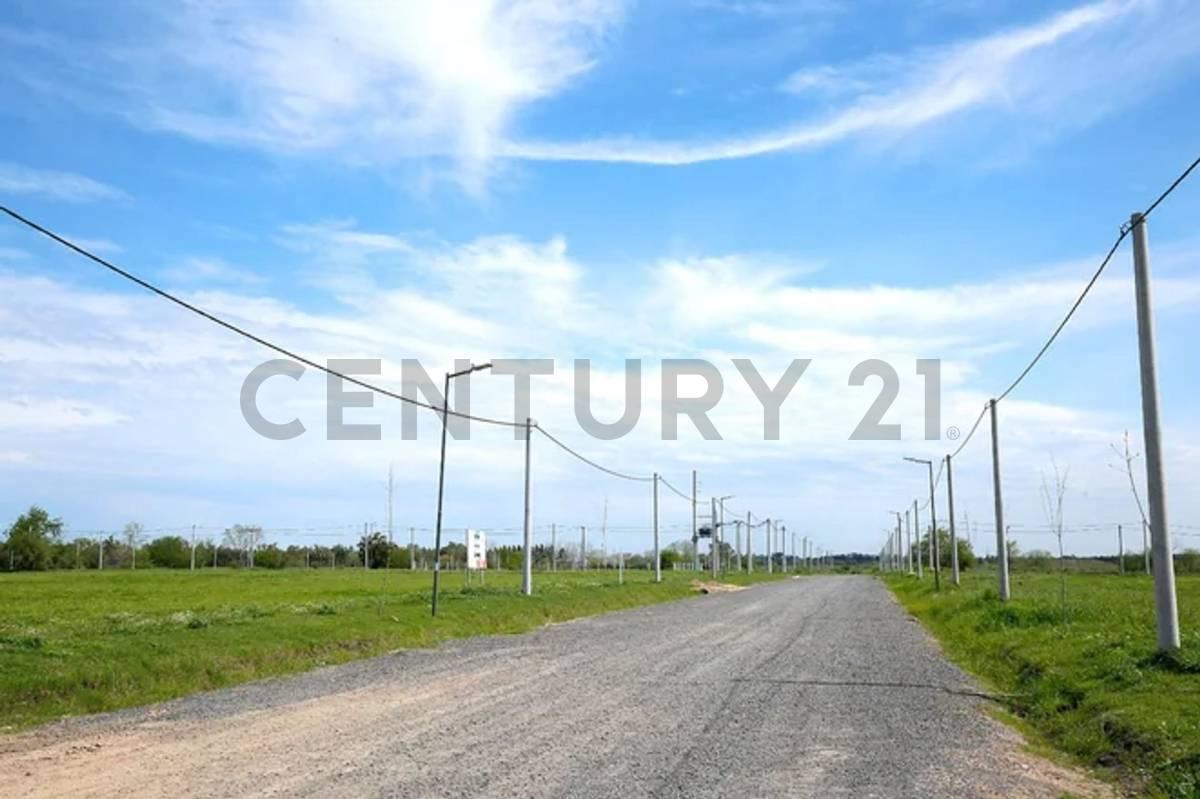 Foto de LOTE EN VENTA EN LA PLATA BARRIO SENDEROS BARRIO ABIERTO, imagen 3