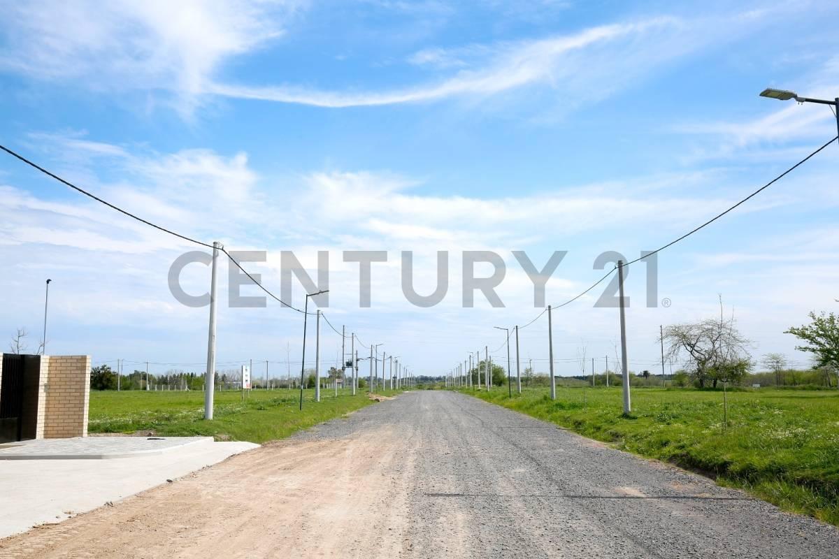 Foto de LOTE EN VENTA EN BARRIO ABIERTO SENDEROS LA PLATA, imagen 4
