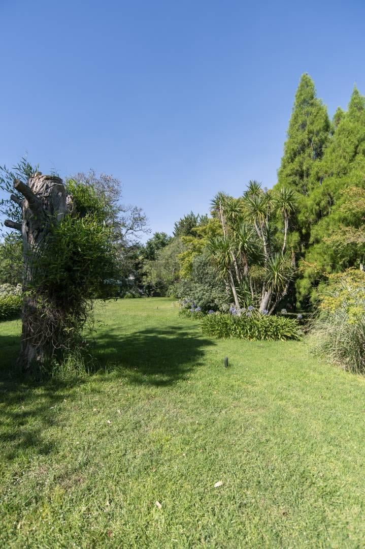 Foto de Lotes en Venta Villa Elisa, imagen 3