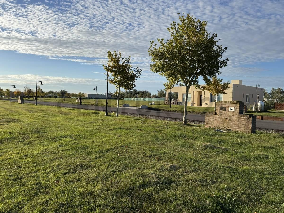 Foto de Lote en venta en Haras del Sur III, imagen 3