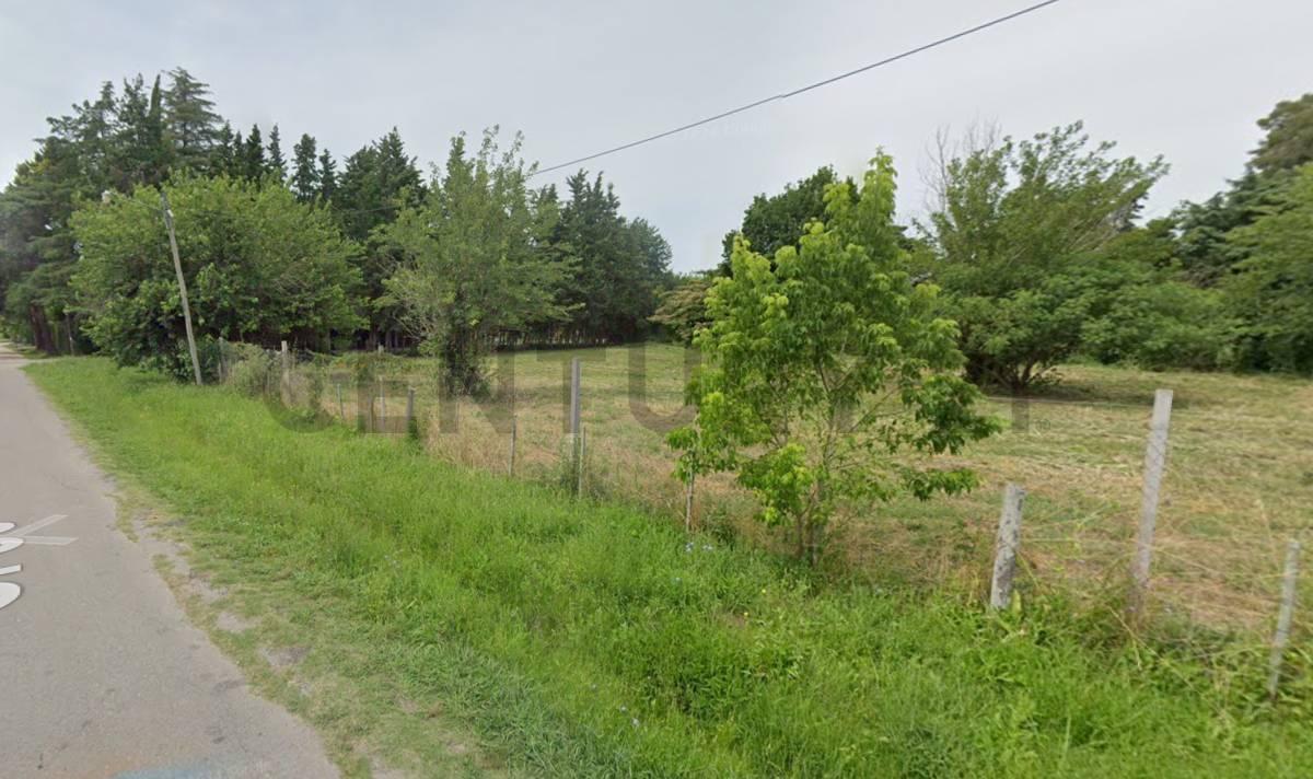 Foto de Lote en venta en Villa Elisa, imagen 1