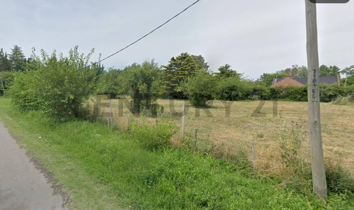 Foto de Lote en venta en Villa Elisa, imagen 2