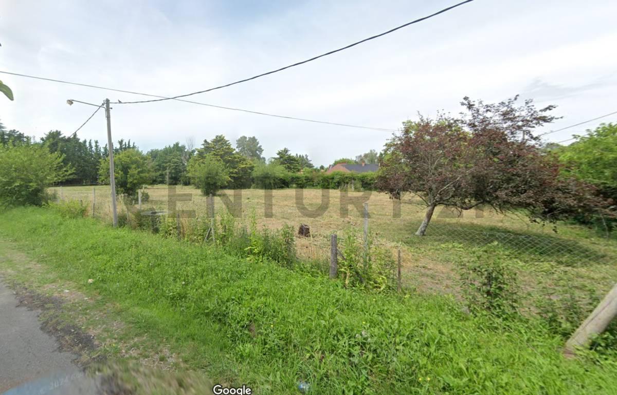 Foto de Lote en venta en Villa Elisa, imagen 5