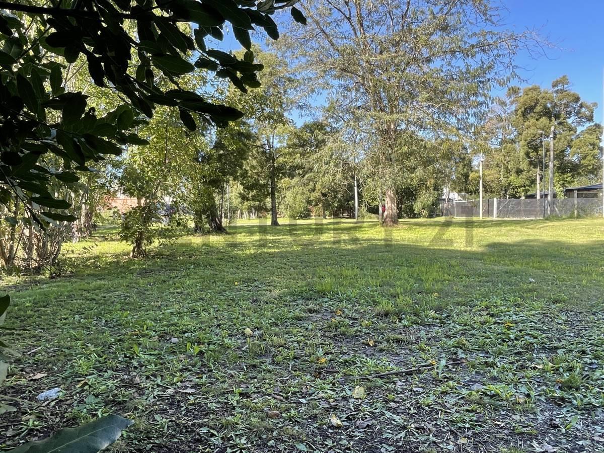 Foto de Lote de terreno en venta en barrio cerrado Velisa, Villa Elisa, imagen 5