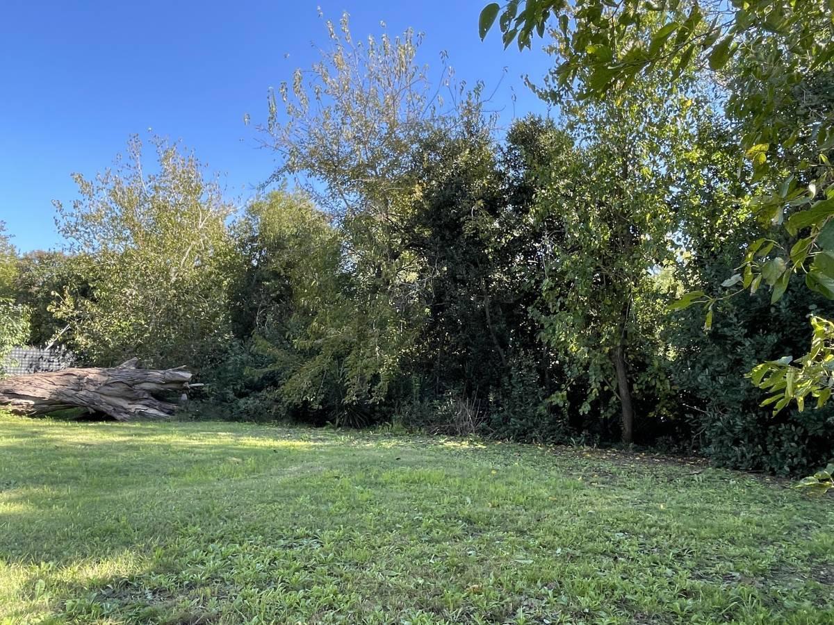 Foto de Lote de terreno en venta en barrio cerrado Velisa, Villa Elisa, imagen 4