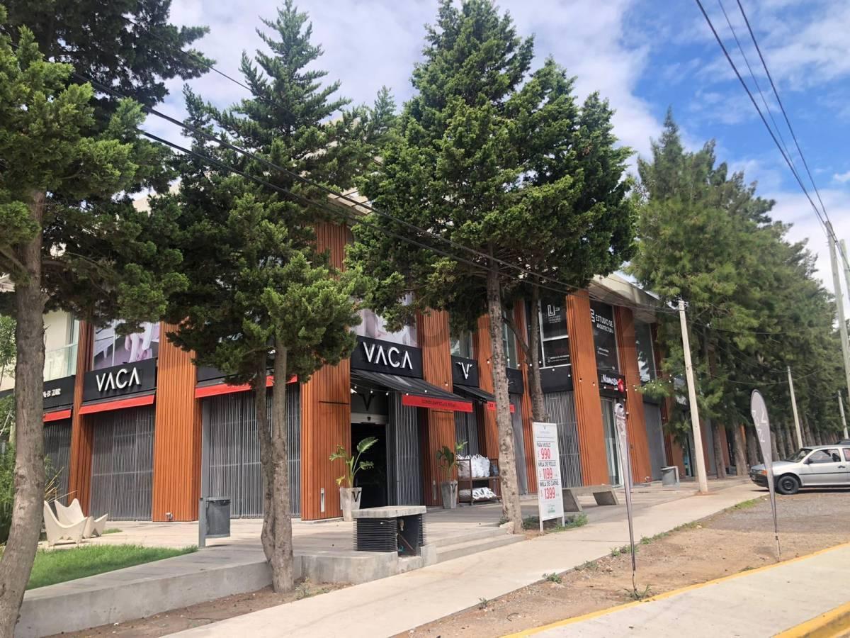 Foto de Lote terreno en venta en Gonnet, imagen 3