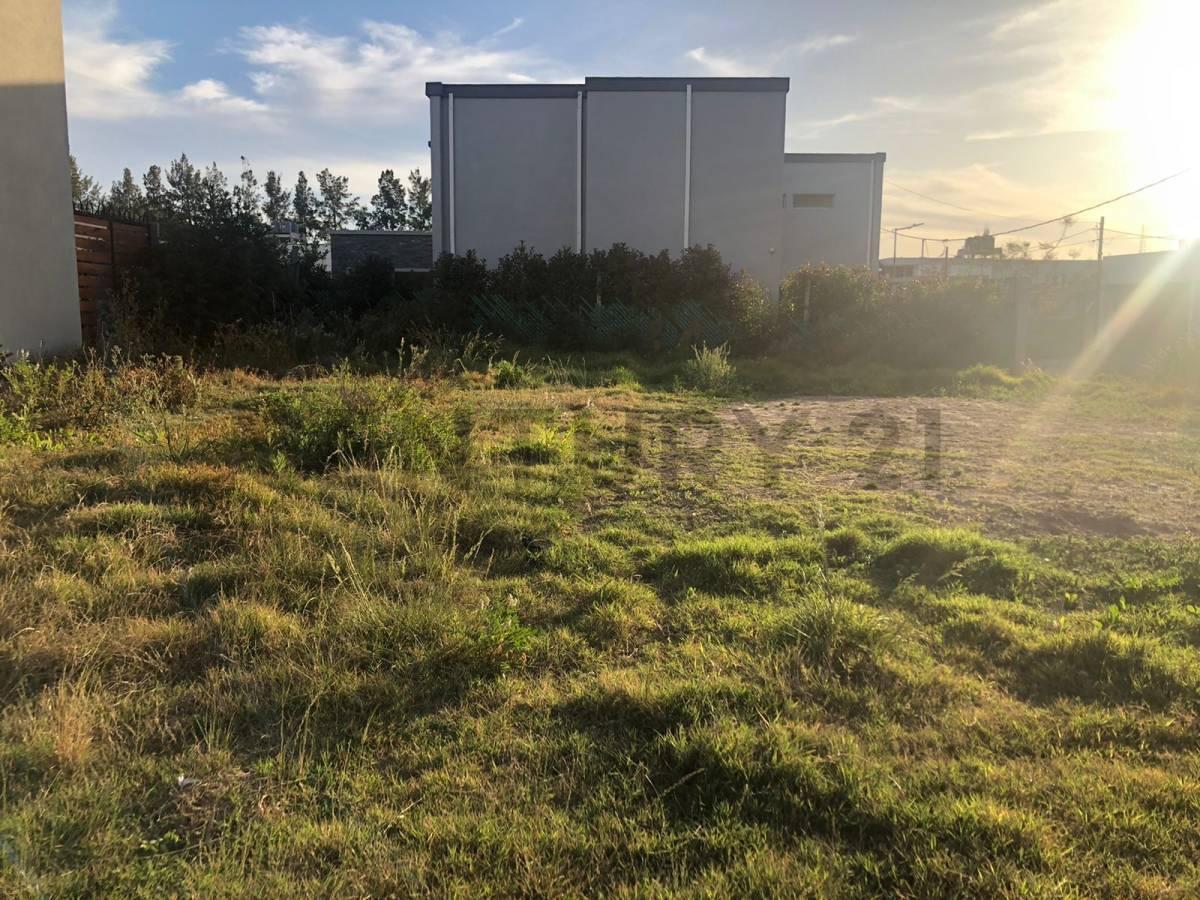 Foto de Lote terreno en venta en Gonnet, imagen 1