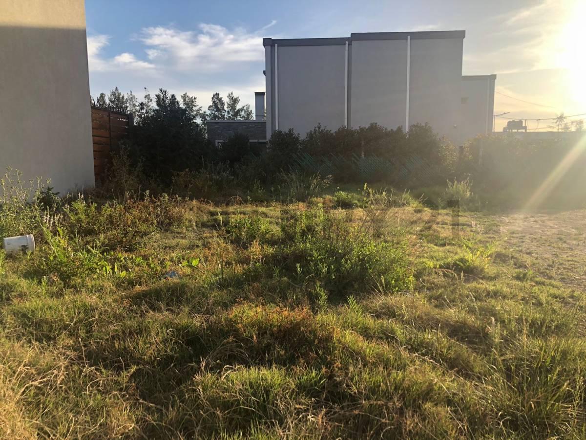 Foto de Lote terreno en venta en Gonnet, imagen 2