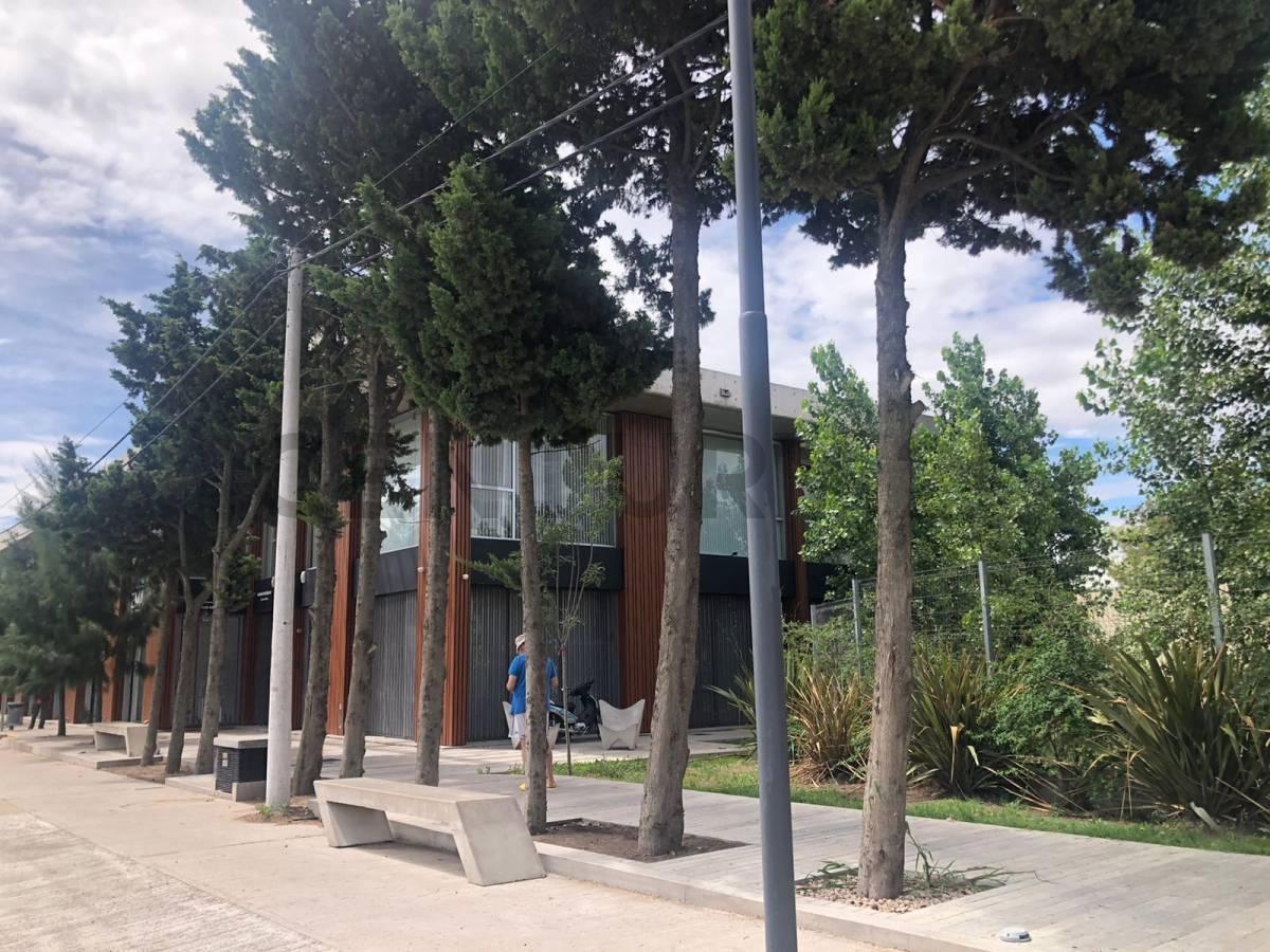 Foto de Lote terreno en venta en Gonnet, imagen 4