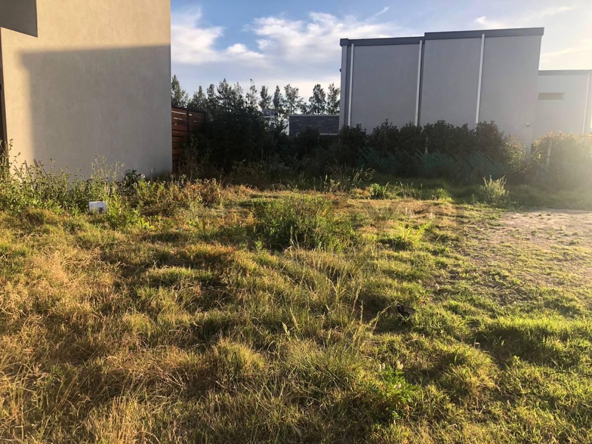 Foto de Lote terreno en venta en Gonnet, imagen 5