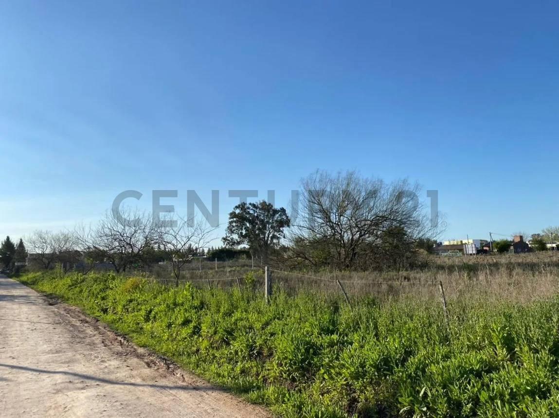 Foto de LOTE TERRENO EN VENTA EN SICARDI LA PLATA, imagen 5