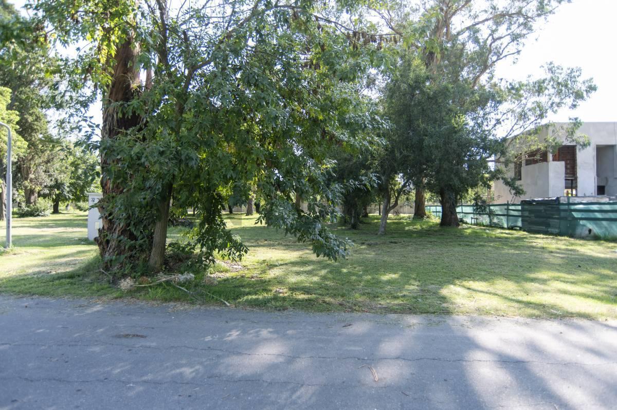 Foto de LOTE TERRENO EN VENTA EN HUDSON GREENVILLE BARRIO PRIVADO, imagen 4