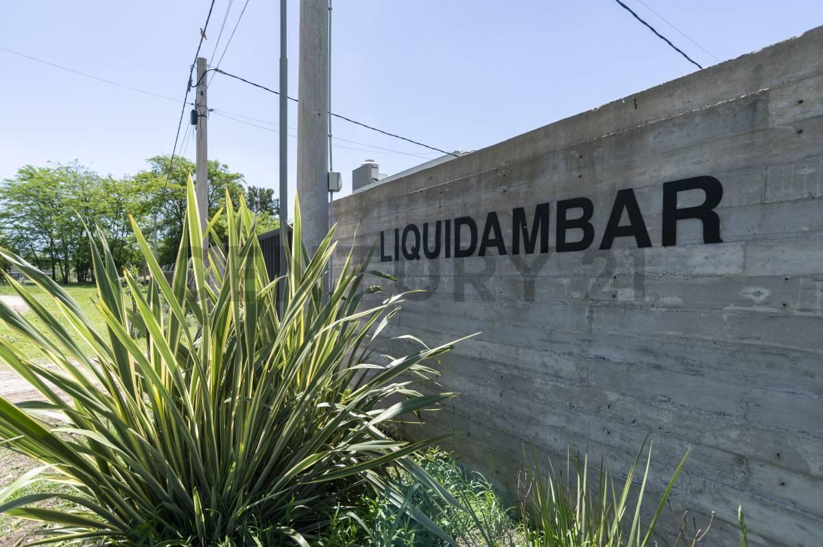 Foto de LOTE EN VENTA 10 x 28 Barrio Liquidambar, La Plata, imagen 2