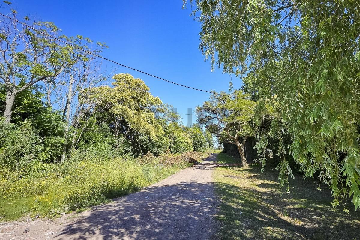 Foto de Terrenos lotes en venta en La Plata Melchor Romero, imagen 4