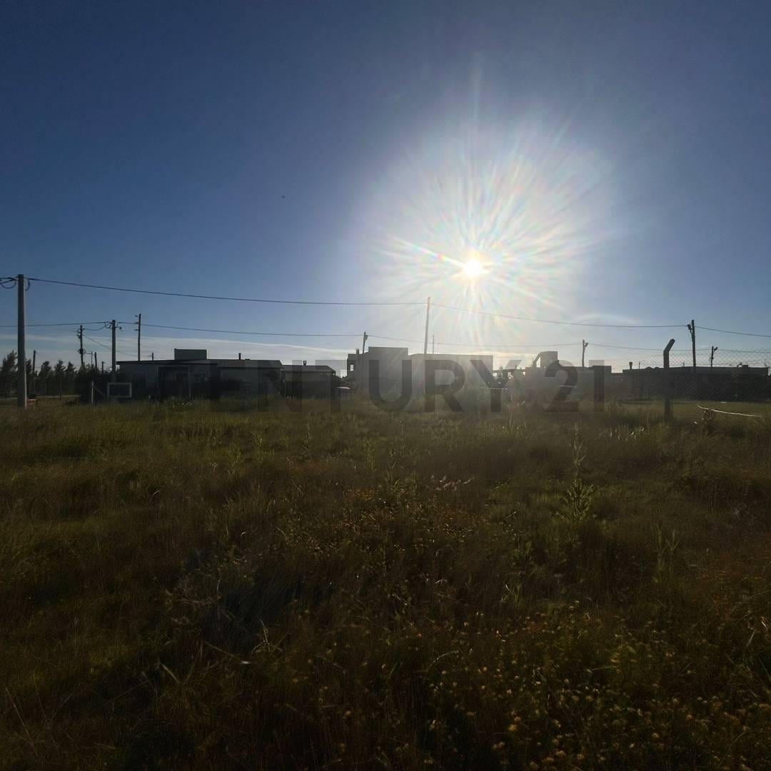Foto de LOTE EN VENTA 20 X 30 . BARRIO TERRANOVA . ARANA, imagen 4