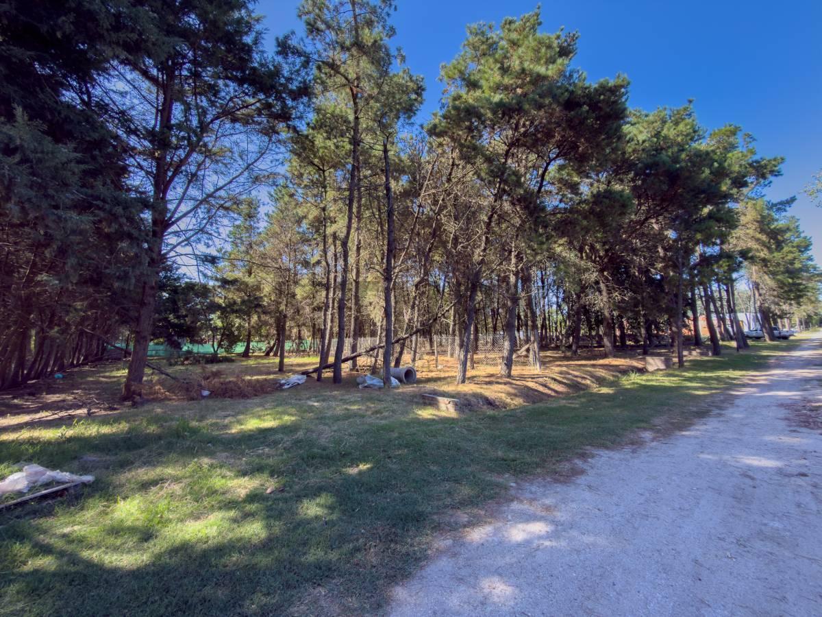 Foto de LOTE EN VENTA EN LA PLATA EN BARRIO CERRADO, imagen 3