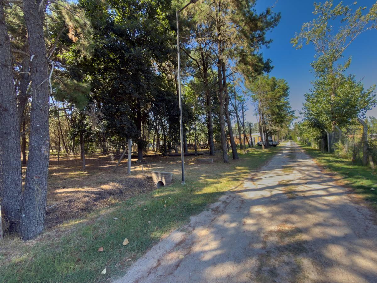 Foto de LOTE EN VENTA EN LA PLATA EN BARRIO CERRADO, imagen 2