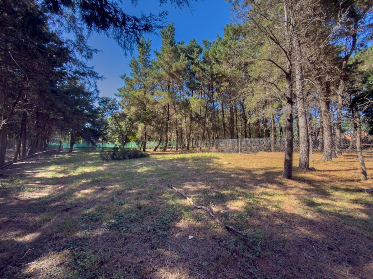 Foto de LOTE EN VENTA EN LA PLATA EN BARRIO CERRADO, imagen 4