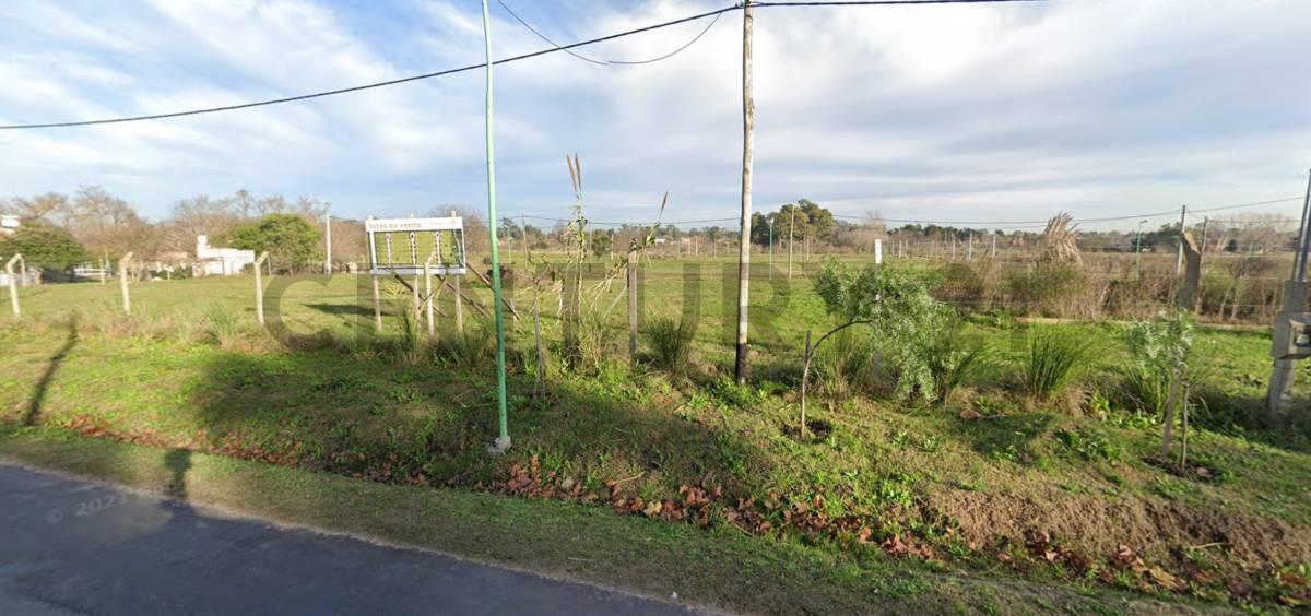 Foto de Lote en Venta en City Bell, imagen 2