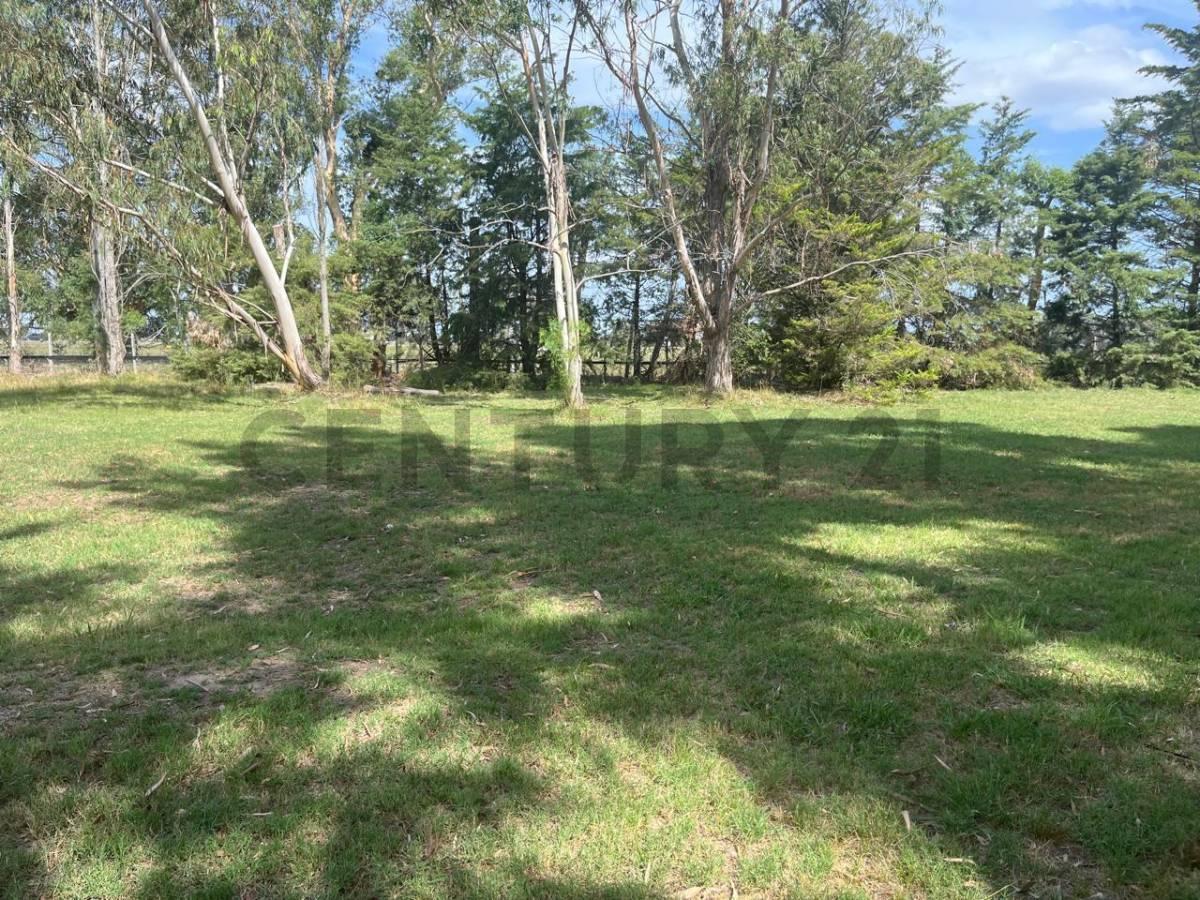Foto de LOTE EN VENTA EN MIRALAGOS 1, imagen 4