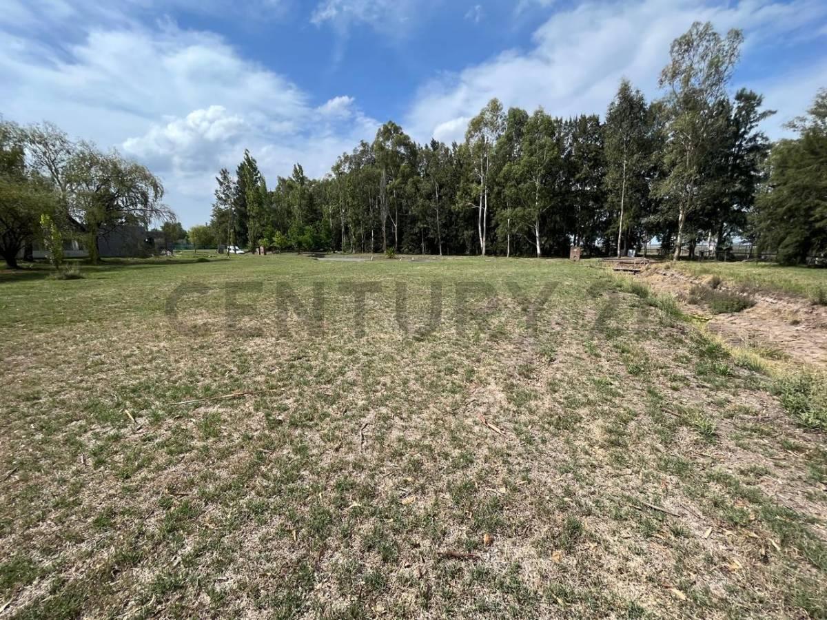 Foto de LOTE EN VENTA EN MIRALAGOS 1, imagen 2