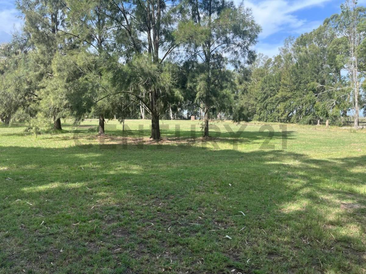 Foto de LOTE EN VENTA EN MIRALAGOS 1, imagen 1