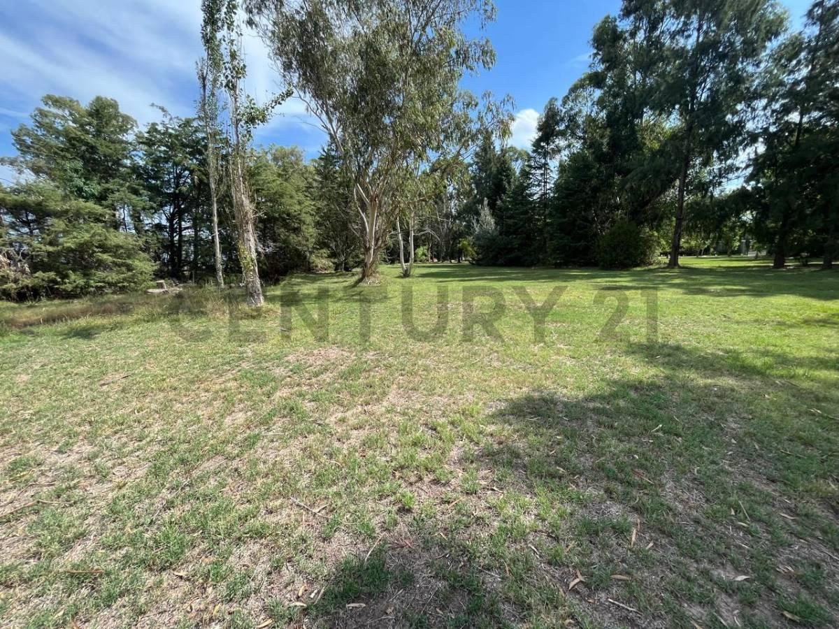 Foto de LOTE EN VENTA EN MIRALAGOS 1, imagen 5