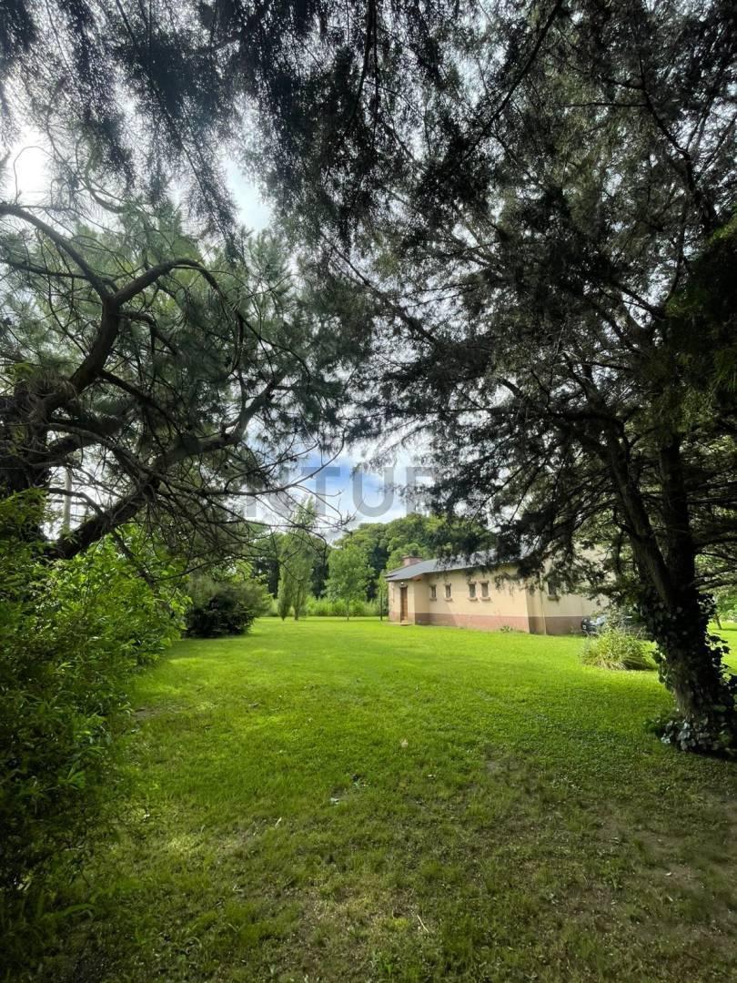Foto de Fraccion quinta en venta en Arturo Segui, imagen 5