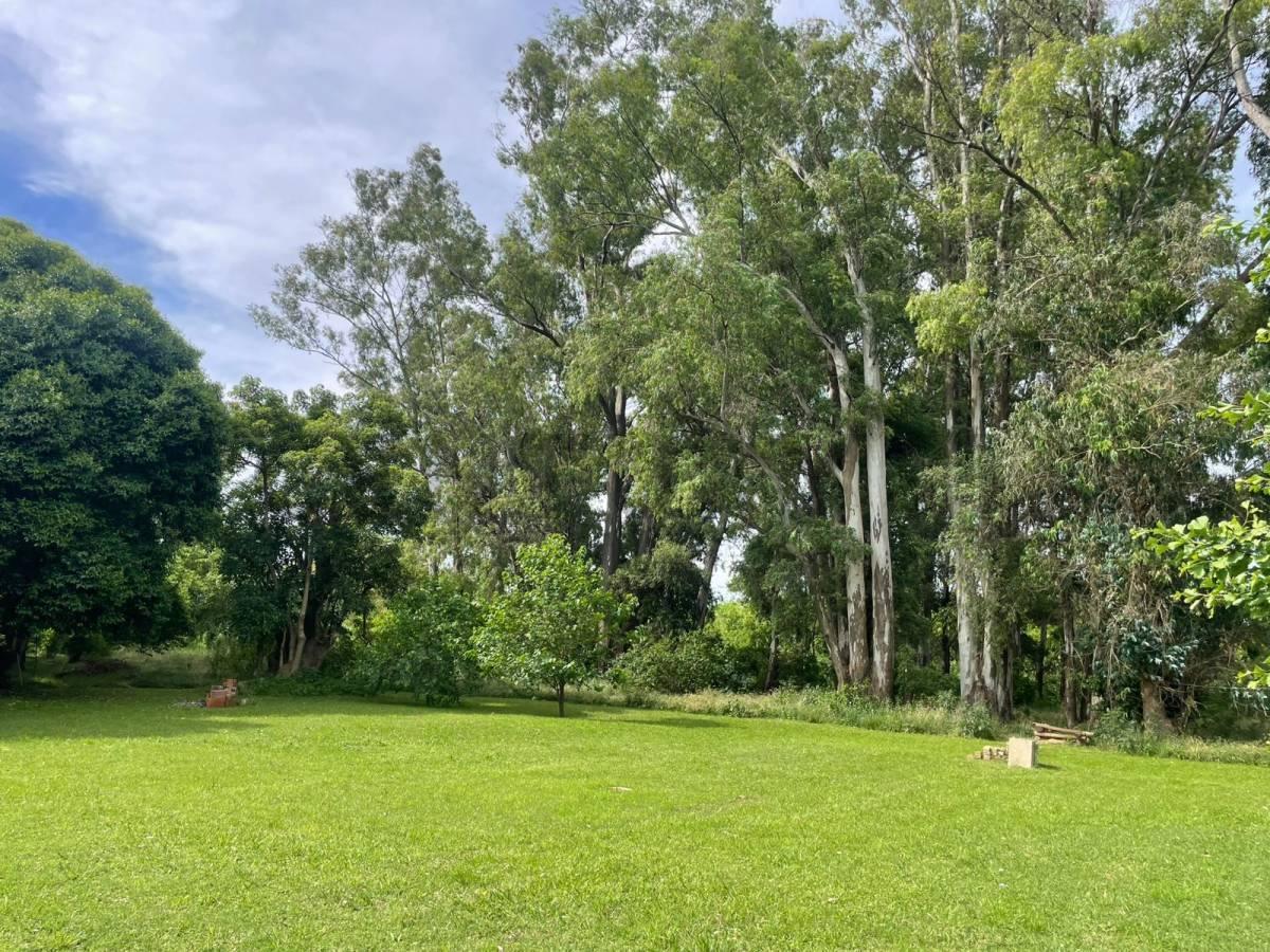 Foto de Fraccion quinta en venta en Arturo Segui, imagen 1