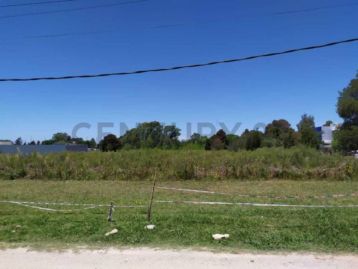 Foto de Lote en venta en Sicardi, imagen 4