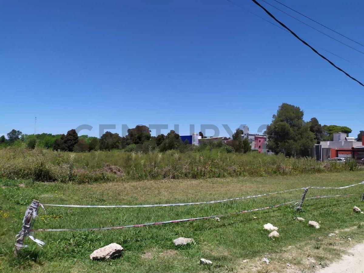 Foto de Lote en venta en Sicardi, imagen 1