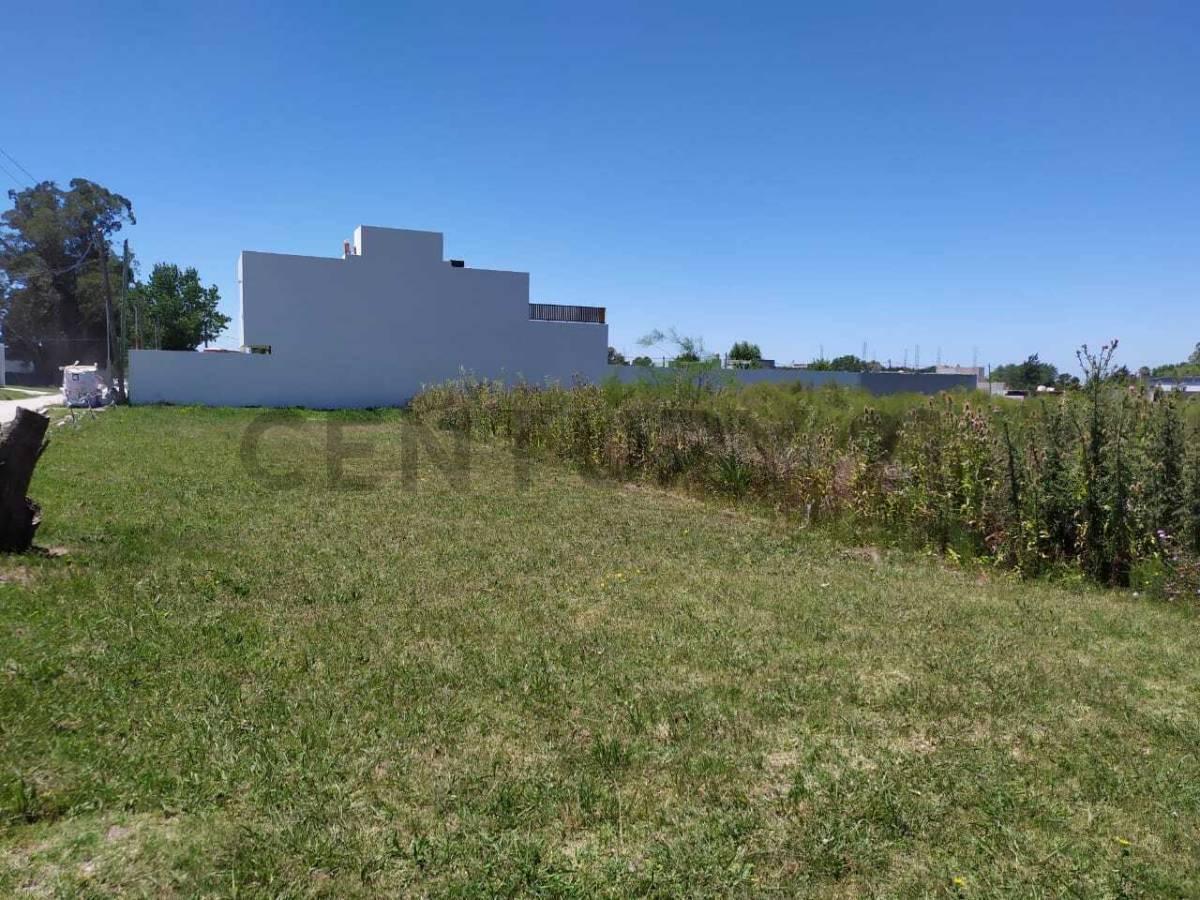 Foto de Lote en venta en Sicardi, imagen 3