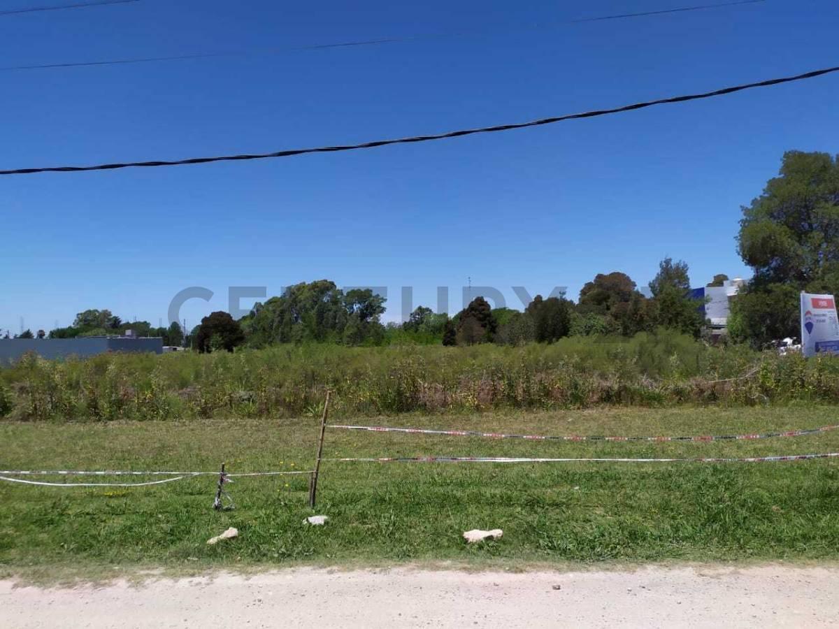 Foto de Lote en venta en Sicardi, imagen 5