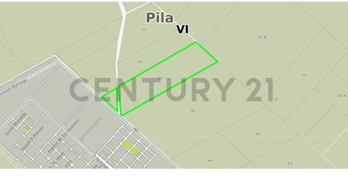 Foto de Campo en venta en Pila 46 Hectareas, imagen 3