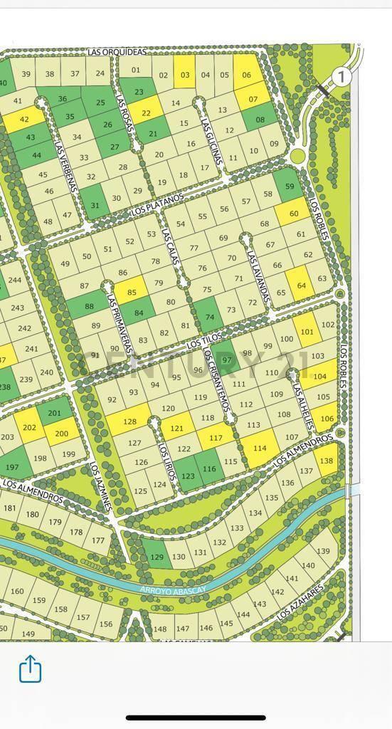 Foto de LOTE EN VENTA EN CAMPOS DE ROCA II, imagen 5