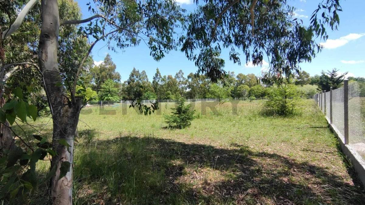 Foto de Lote terreno en venta en Arturo Segui "Los Aromos", imagen 2